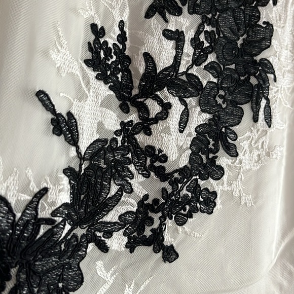 White House black market gorgeous delicate sheer sleeve black and warm white top - Picture 5 of 6